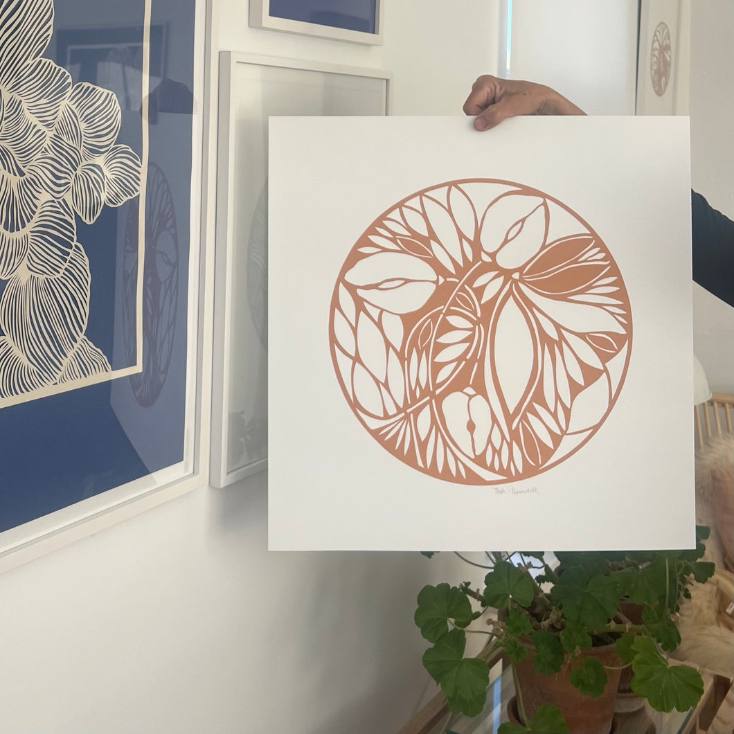 Abricos • knækket hvid