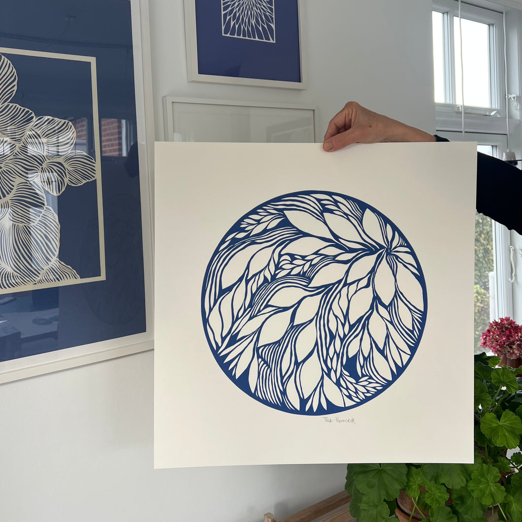 Kongeblå • lys skal